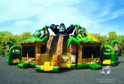 Rainforest 3Lane 2 DM 1610728073 RainForest Triple Slide