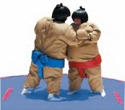 Sumo Wrestling