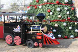 Luxury Trackless Train