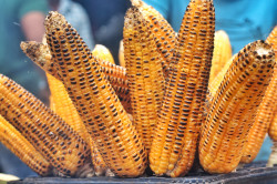 Roasted Corn