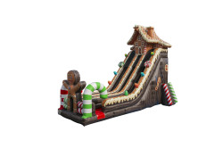 S1036 Gingerbread20House20Slide HR 02 1753299001 Gingerbread House Double Lane 27 Slide