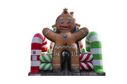 S1036 Gingerbread20House20Slide HR 06 1753299002 Gingerbread House Double Lane 27 Slide